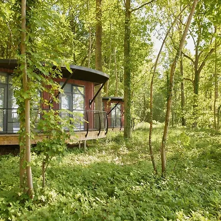 Stylish With Pool Vakantiehuis Antoing
